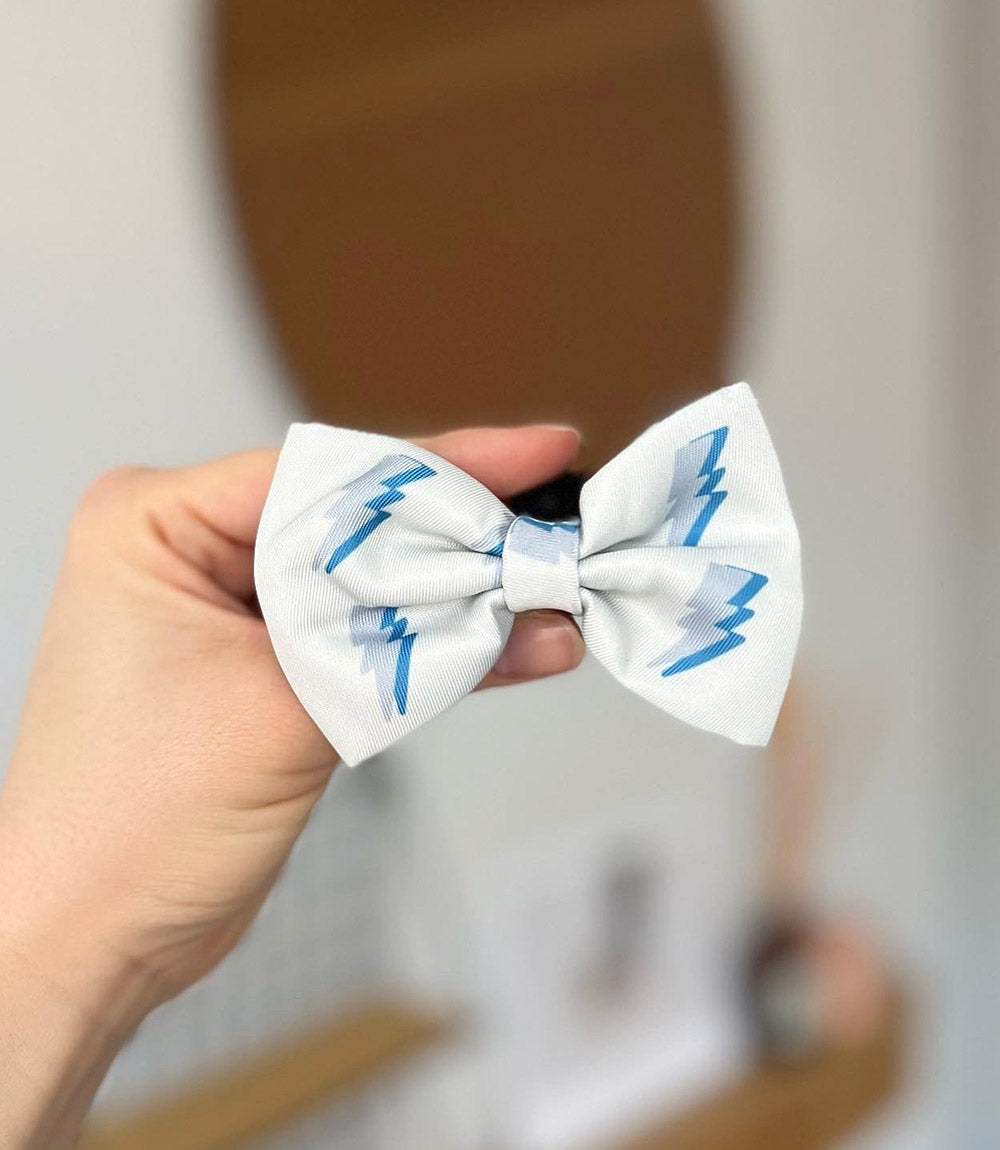 Poppy + Ted - Walk + Wear Get Ziggy With It Dog Bow Tie - Nest Pets