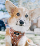 Cocopup London - Tan Spots Reversible Harness - Nest Pets