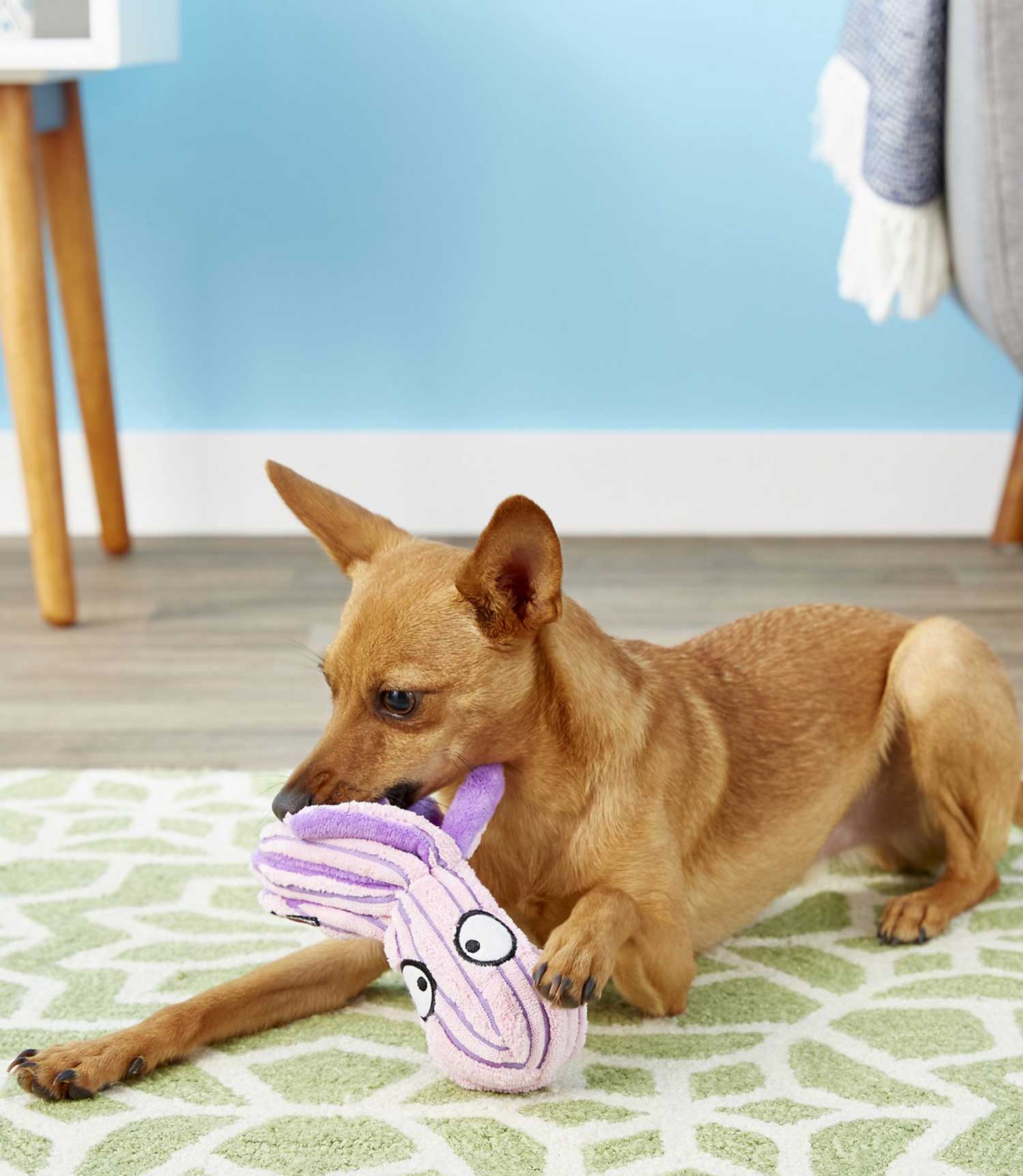 Kong CuteSeas Octopus Dog Toy - Small - Nest Pets