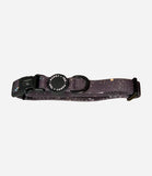 Poppy + Ted - Walk + Wear Gold Dust Dog Collar - Nest Pets