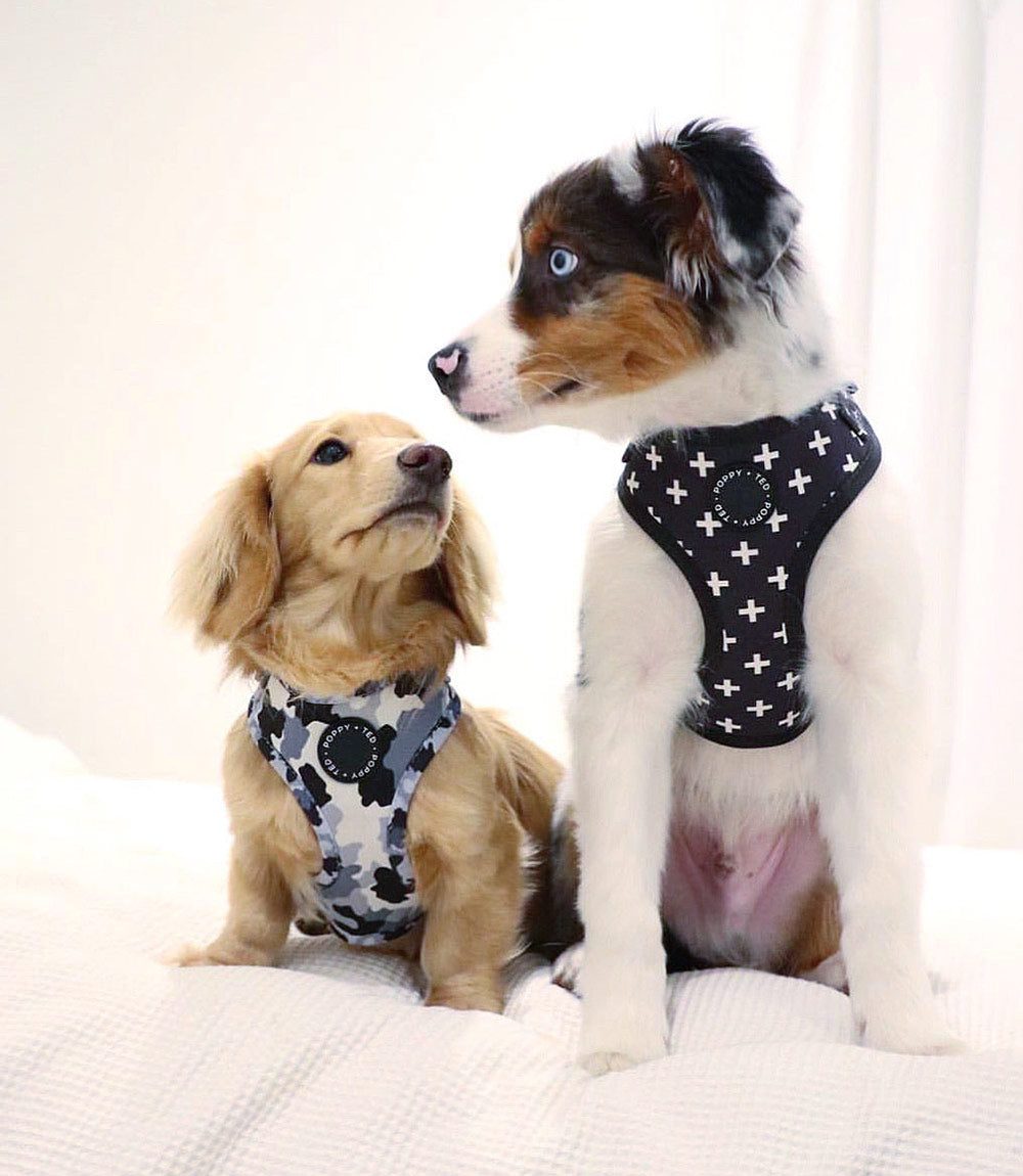 Poppy + Ted - Walk + Wear The Camo Dog Harness - Nest Pets