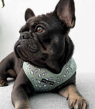 Cocopup London - Sage Leopard Harness - Nest Pets