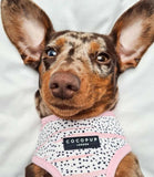 Cocopup London - Pink Dalmatian Reversible Harness - Nest Pets