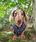 Cocopup London - Monochrome Spots Reversible Harness - Nest Pets