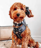 Cocopup London - Midnight Tiger Harness - Nest Pets