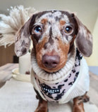 Cocopup London - Ivory Tort Harness - Nest Pets