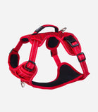 Rogz Utility Explore Dog Harness - Nest Pets