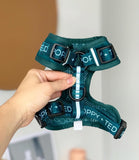 Poppy + Ted - Walk + Wear Teal Dog Harness - Nest Pets