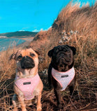 Cocopup London - Pink Dalmatian Reversible Harness - Nest Pets