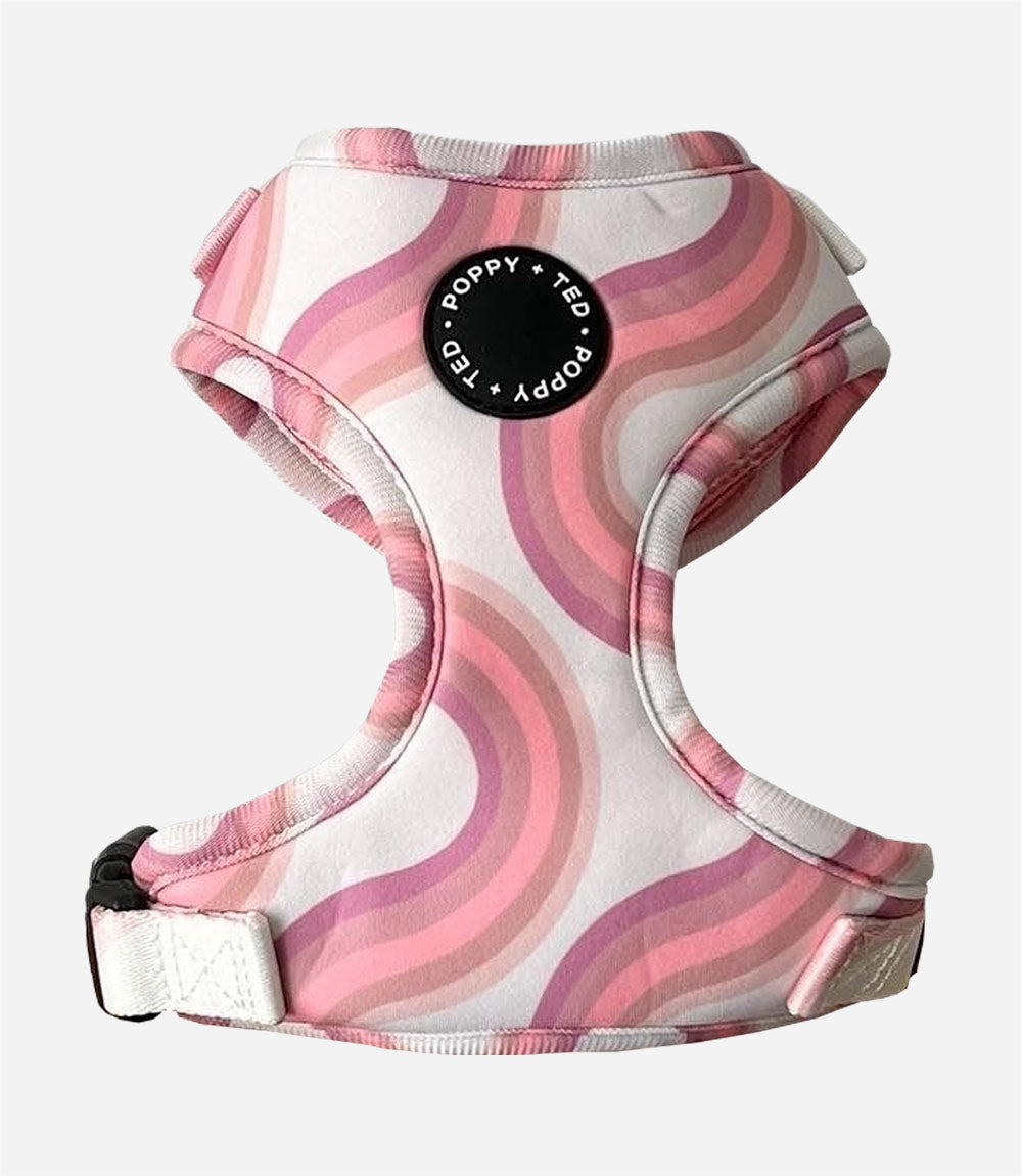 Poppy + Ted - Walk + Wear Pink Vibes Dog Harness - Nest Pets
