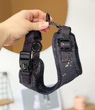 Poppy + Ted - Walk + Wear Gold Dust Dog Harness - Nest Pets