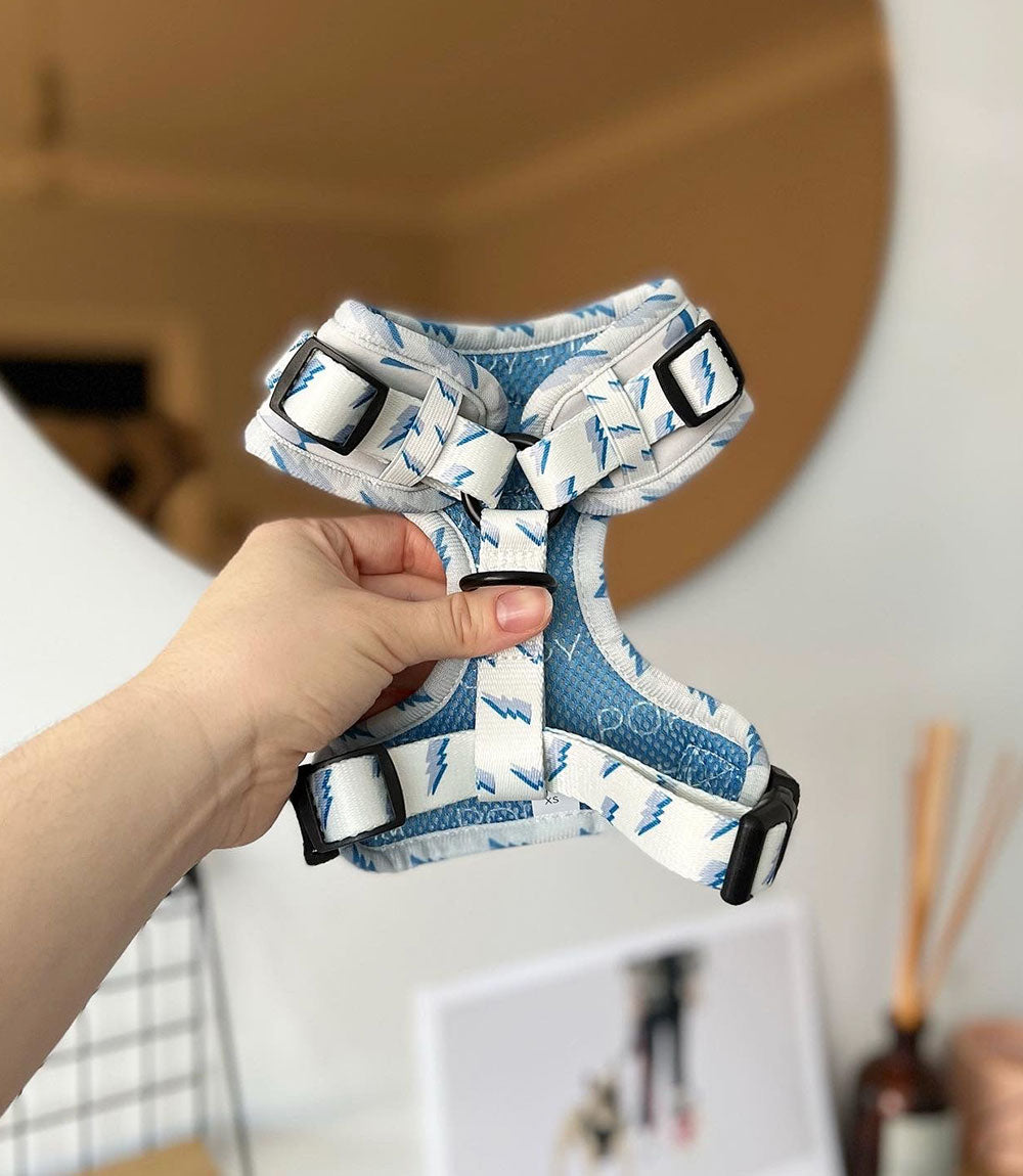 Poppy + Ted - Walk + Wear Get Ziggy With It Dog Harness - Nest Pets