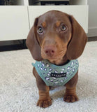 Cocopup London - Sage Leopard Harness - Nest Pets