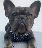 Cocopup London - Monochrome Spots Reversible Harness - Nest Pets