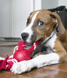Kong Ball With Rope Dog Toy - Small - Nest Pets