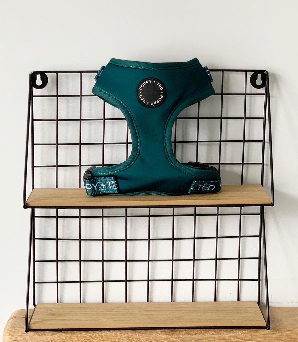 Poppy + Ted - Walk + Wear Teal Dog Harness - Nest Pets