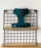 Poppy + Ted - Walk + Wear Teal Dog Harness - Nest Pets