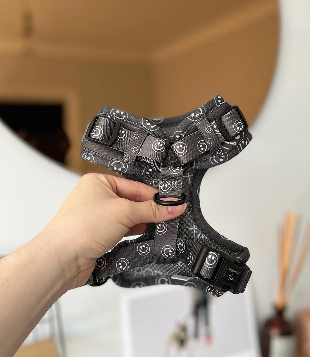 Poppy + Ted - Walk + Wear Happy Stamp Dog Harness - Nest Pets