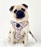 Poppy + Ted - Walk + Wear Party Pup Dog Harness - Nest Pets