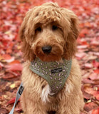 Cocopup London - Sage Leopard Harness - Nest Pets