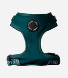 Poppy + Ted - Walk + Wear Teal Dog Harness - Nest Pets