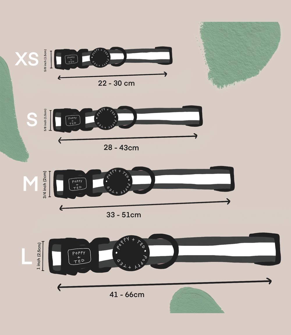 Poppy + Ted - Walk + Wear Get Ziggy With It Dog Collar - Nest Pets