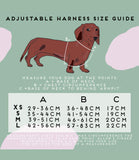Poppy + Ted - Walk + Wear Party Pup Dog Harness - Nest Pets