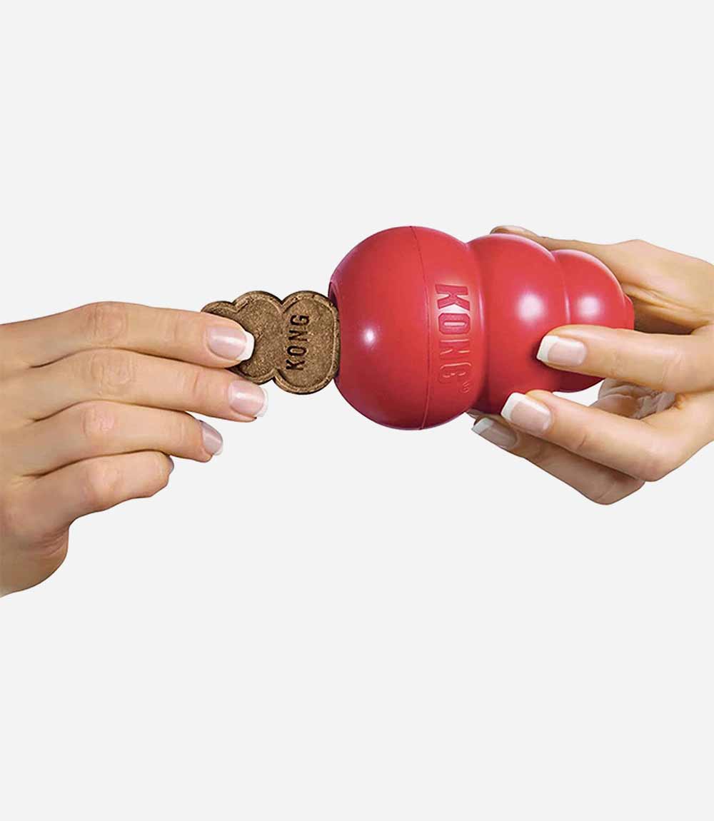 KONG Snacks Liver Dog Treats - Nest Pets