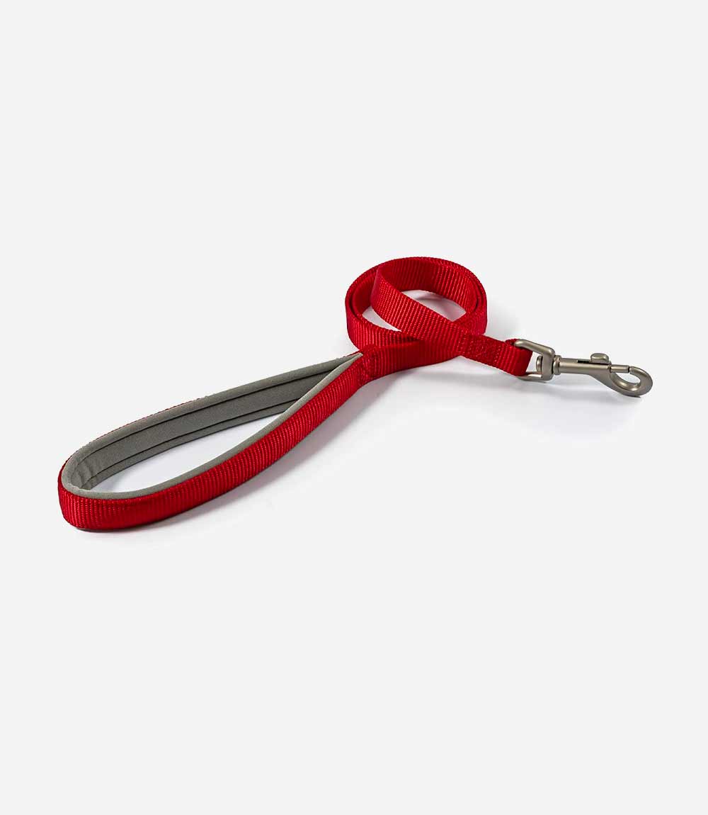 Ancol Padded Nylon Dog Lead - Nest Pets
