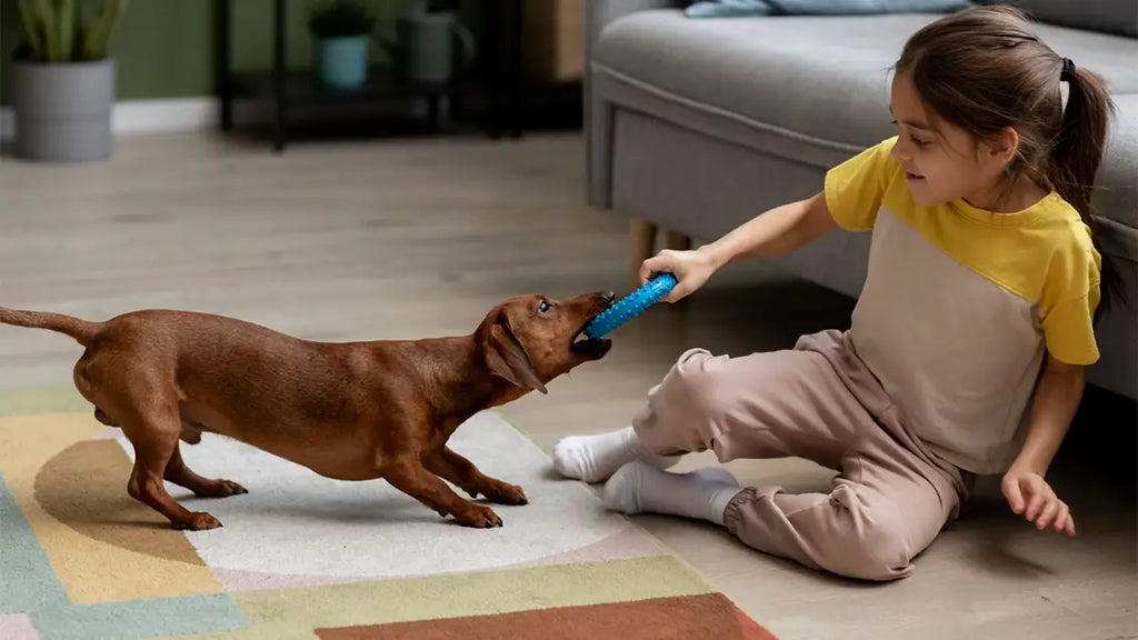10 Fun and Engaging Puppy Games for Puppy Playtime