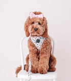 Poppy + Ted - Walk + Wear Party Pup Dog Harness - Nest Pets