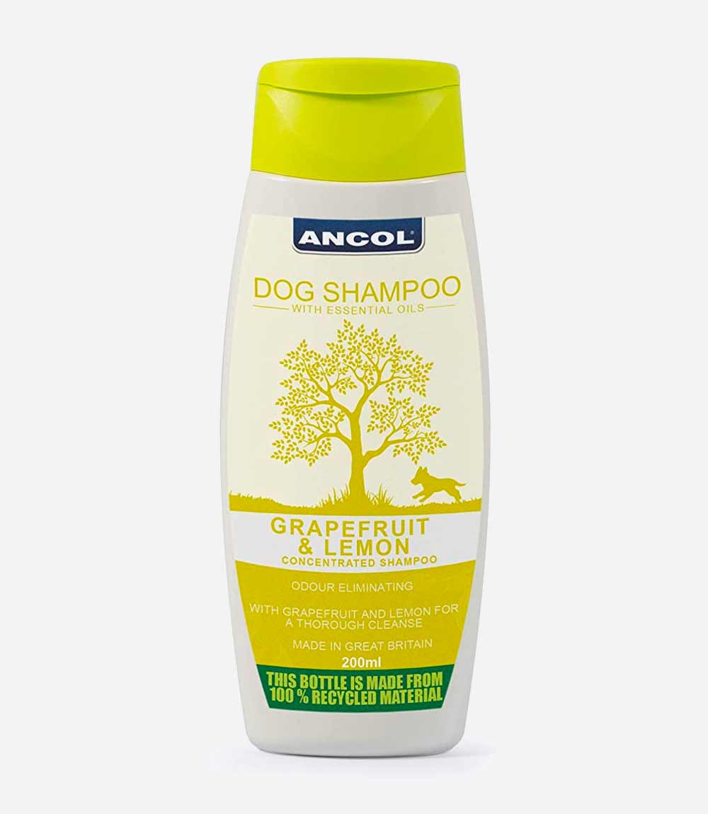 Ancol Lemon & Grapefruit Shampoo - 200ml - Nest Pets