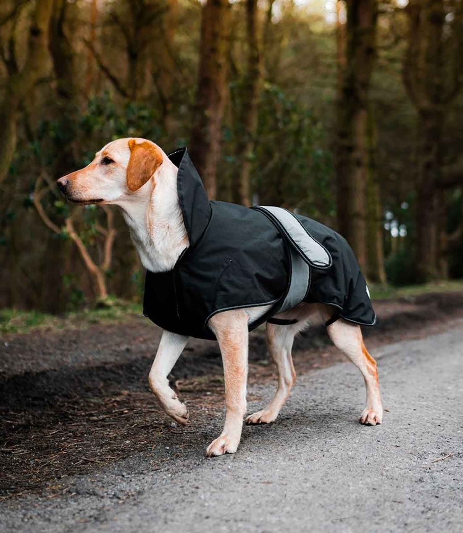 Danish Design Dog Coat 2 in 1 - Nest Pets