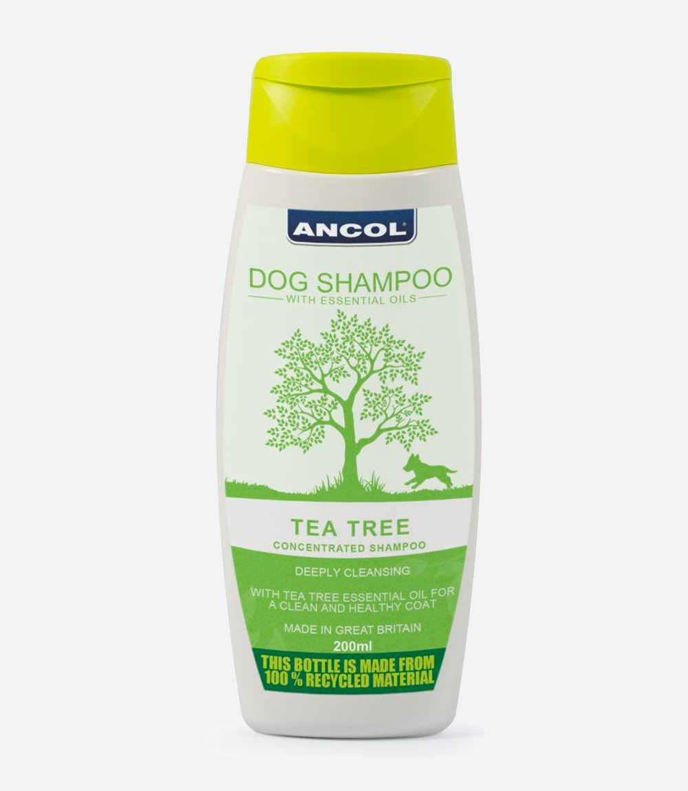 Ancol Tea Tree Shampoo - 200ml - Nest Pets