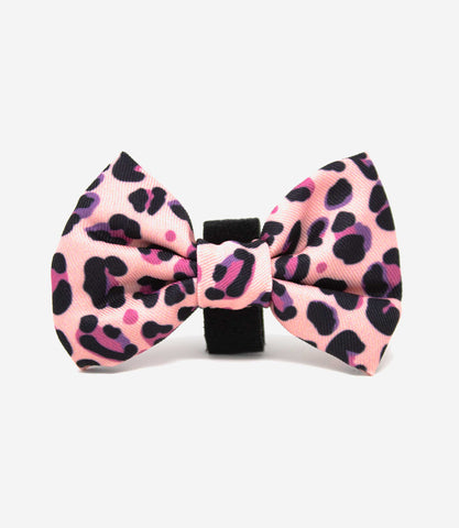 Hounds of Eden 'Blushing Leopard' - Pink Dog Bow Tie - Nest Pets