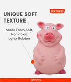 Fofos Latex Pig Bi Dog Toy - Nest Pets