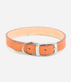 Ancol Leather Dog Collar - Nest Pets