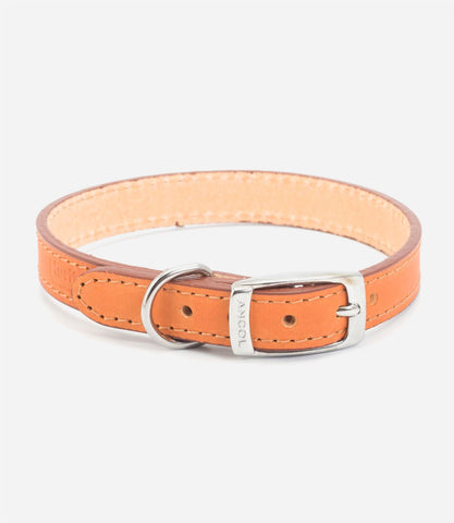 Ancol Leather Dog Collar - Nest Pets