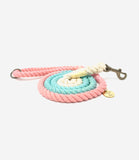 Hounds of Eden - Ombre Pastel Pink & Teal Cotton Rope Dog Lead - Nest Pets