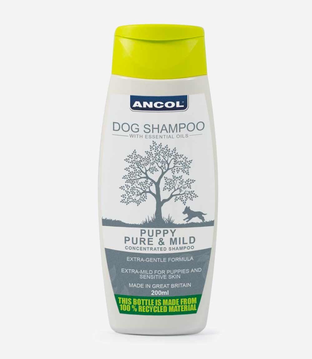 Ancol baby shop powder dog shampoo