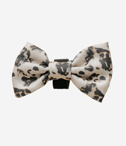 Cocopup London - Ivory Tort Bow Tie - Nest Pets