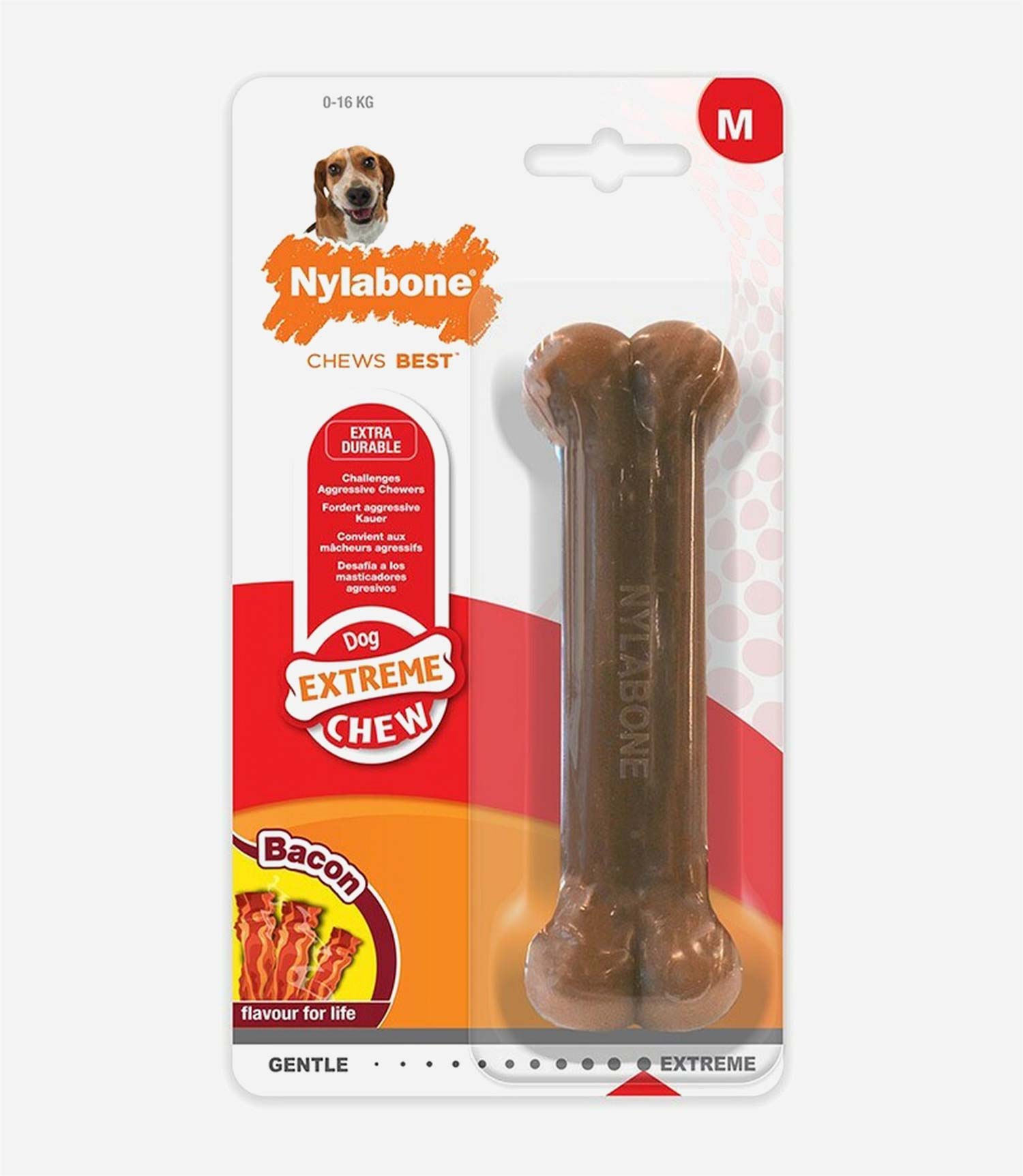 Nylabone Bacon Dog Chew - Nest Pets