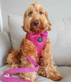 Hounds of Eden 'Bella' - Pink Tweed Dog Bow Tie - Nest Pets