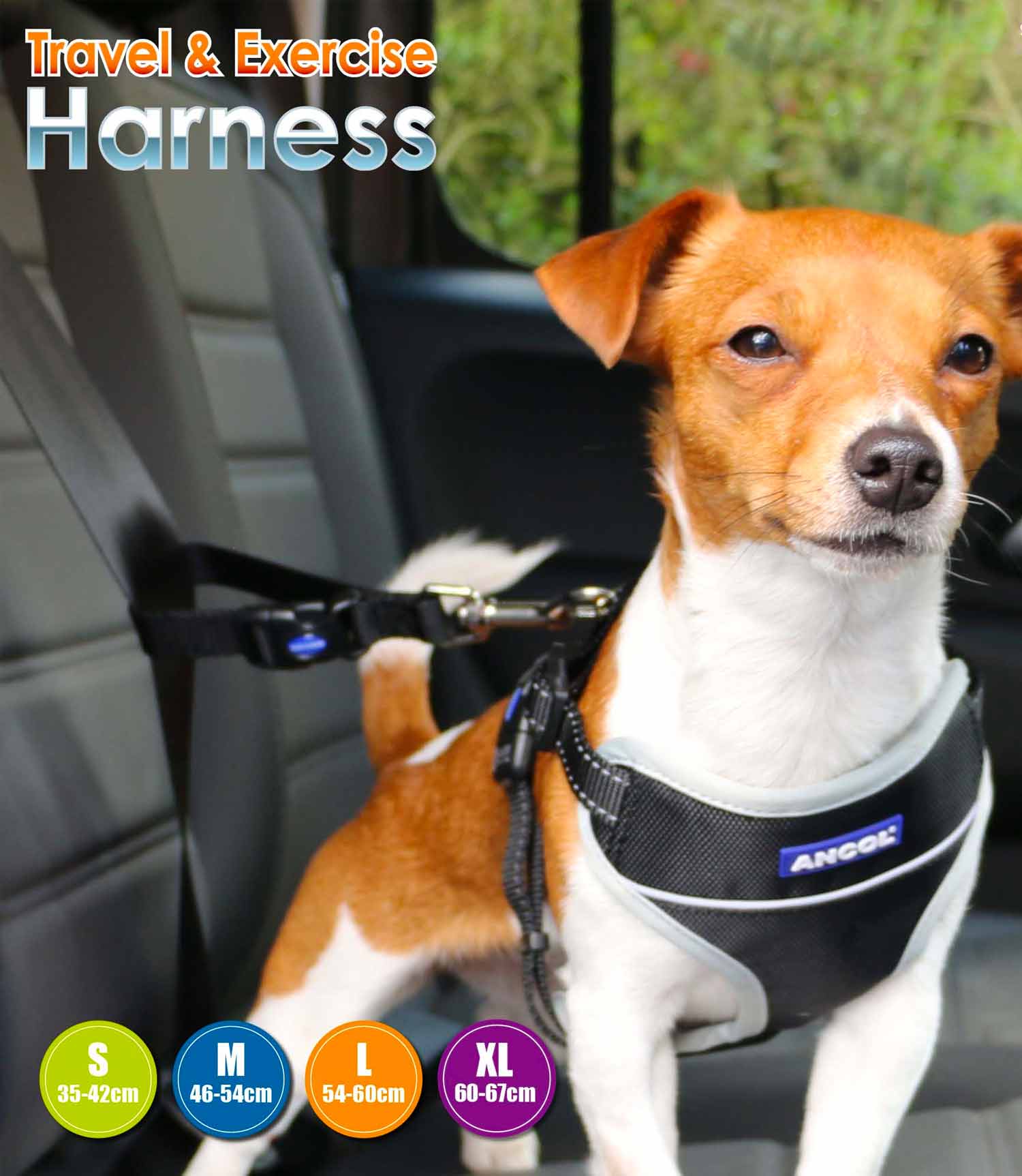 Ancol Travel & Exercise Dog Harness - Nest Pets
