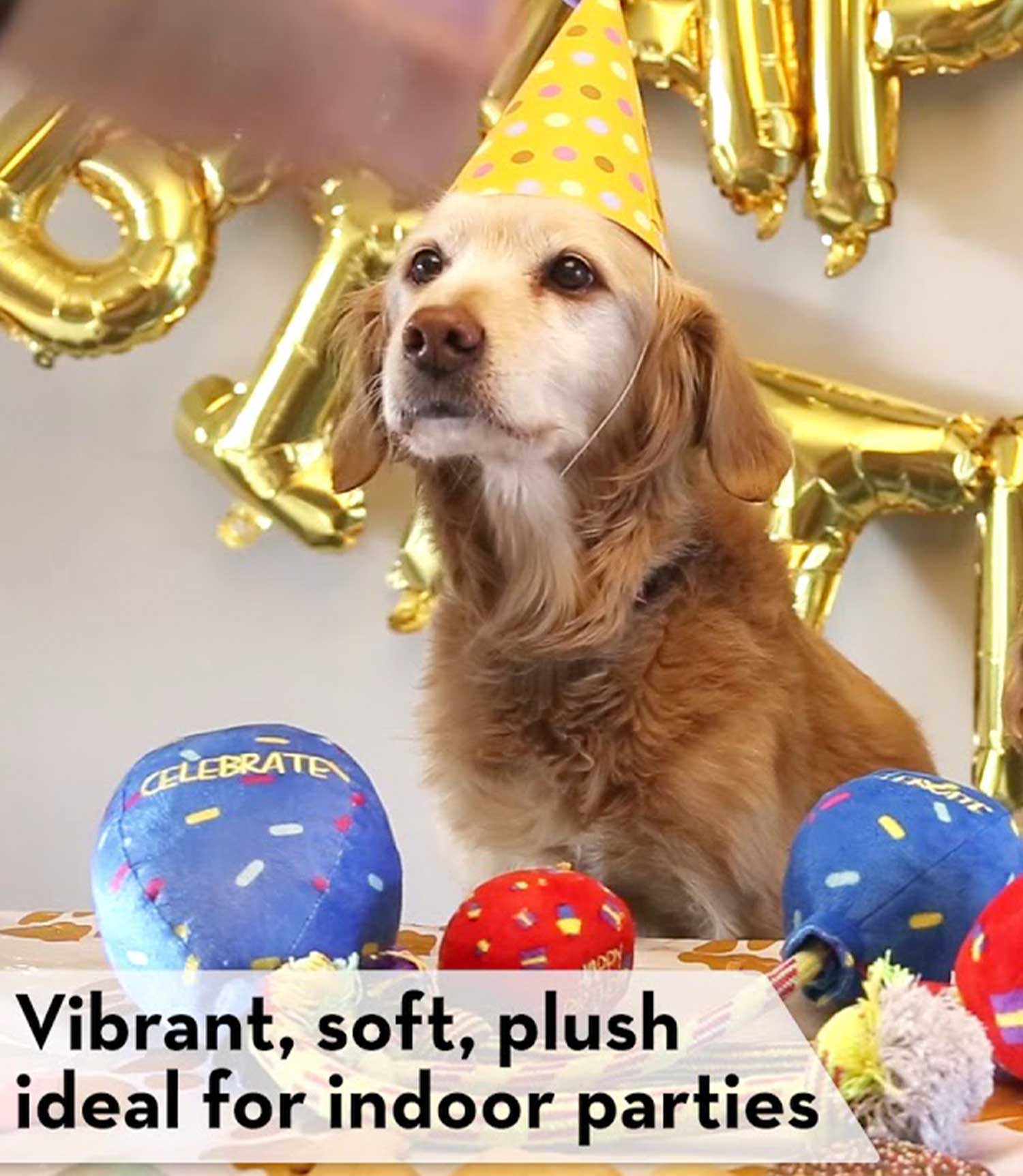 Kong Birthday Balloons Dog Toy - Nest Pets