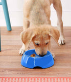 Dogit Go-Slow! Anti-Gulping Dog Dish - Nest Pets