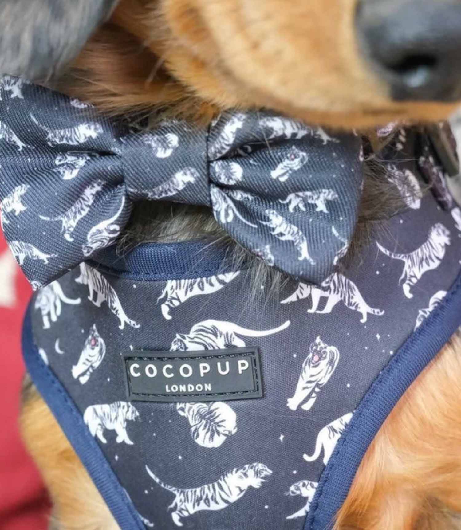 Cocopup London - Midnight Tiger Bow Tie - Nest Pets