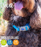 Ancol Viva Adjustable Dog Collar - Nest Pets