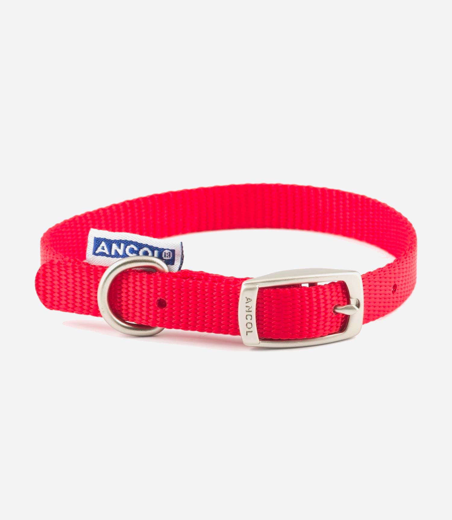 Ancol Nylon Dog Collar - Nest Pets