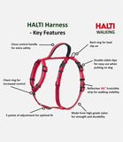 Halti Walking Dog Harness - Nest Pets